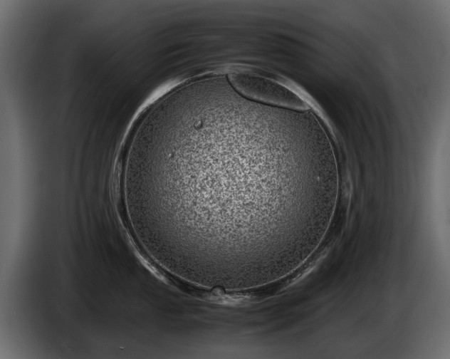X0000085741053200703231106