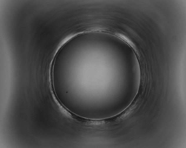 X0000085741055200703231106