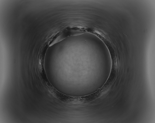 X0000085741060200703231105