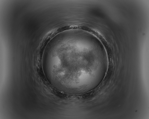 X0000085741063200703231105