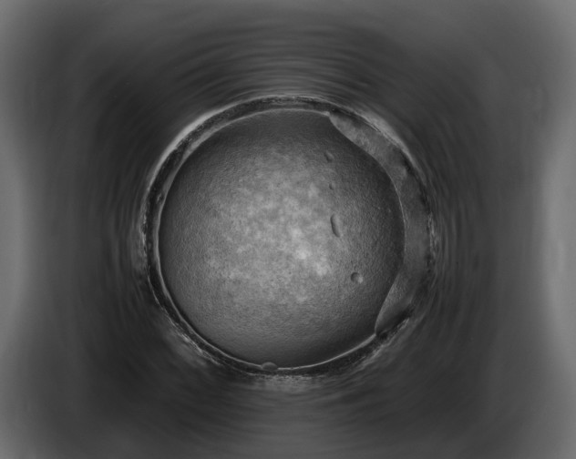 X0000085741068200703231105
