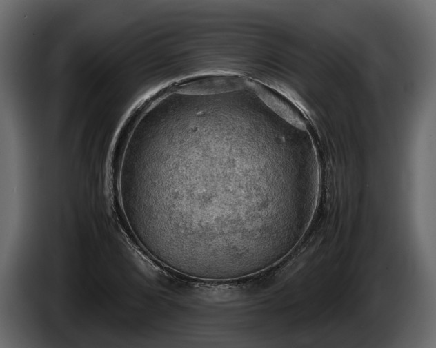 X0000085741072200703231105