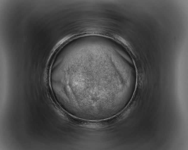 X0000085741074200703231105