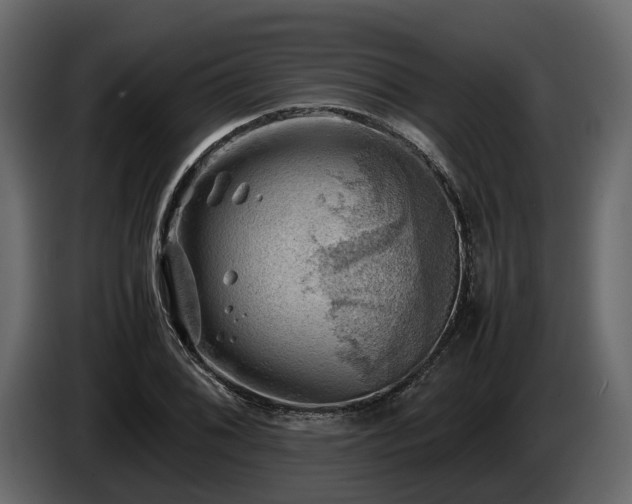 X0000085741076200703231105