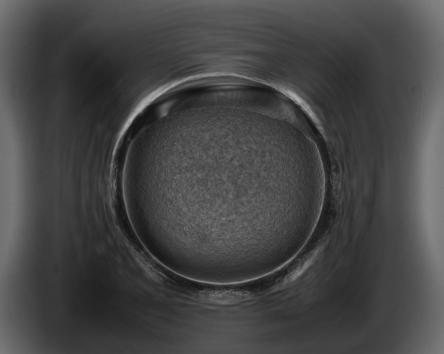 X0000085741077200703231105