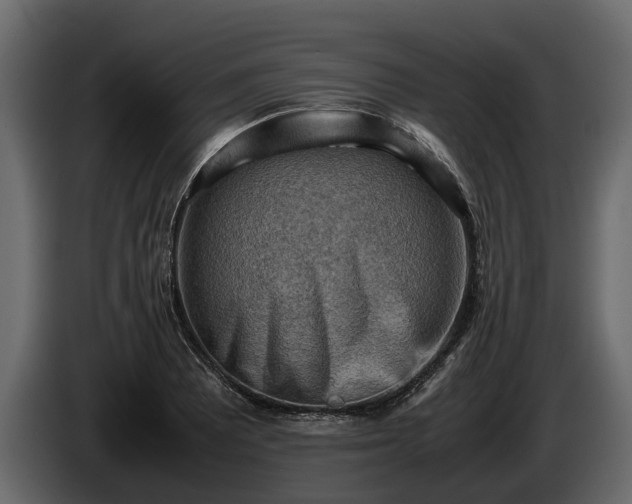 X0000085741081200703231105