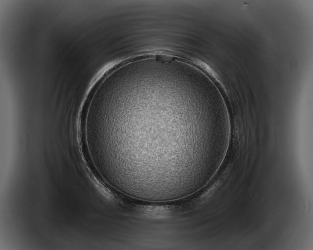 X0000085741082200703231105