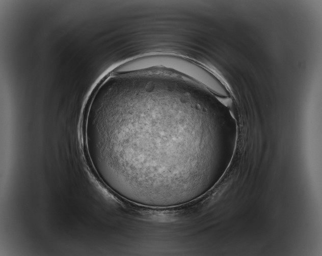X0000085741084200703231105