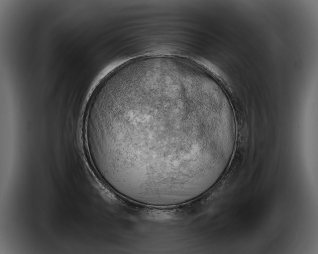 X0000085741086200703231105