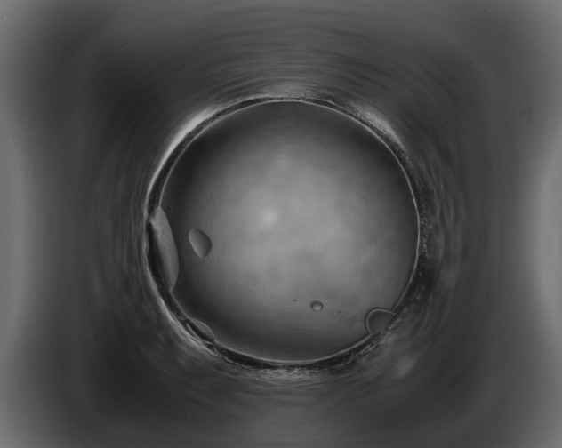 X0000085741087200703231105