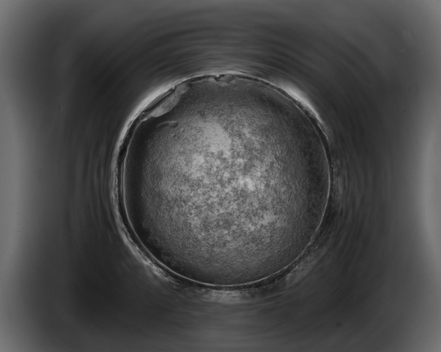 X0000085741088200703231105