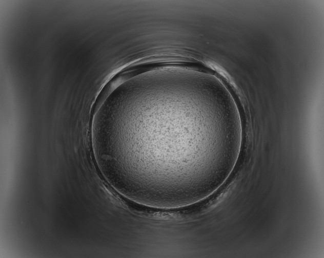 X0000085741089200703231105