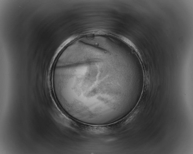 X0000085741090200703231105