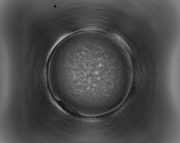 X0000085741092200703231105