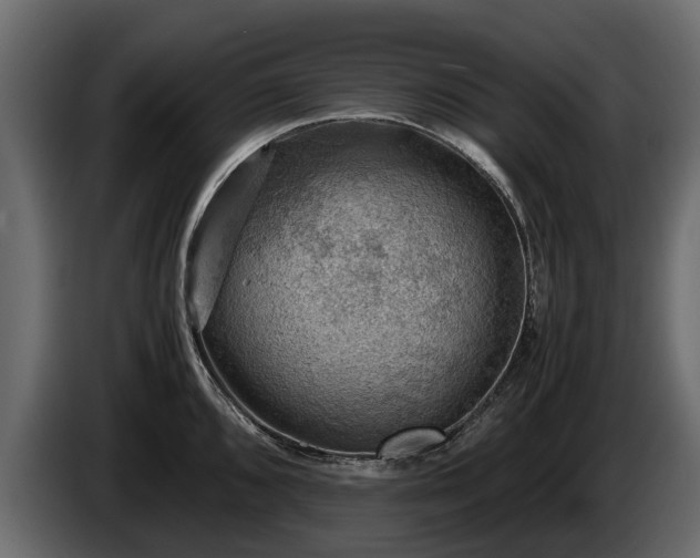 X0000085741096200703231105