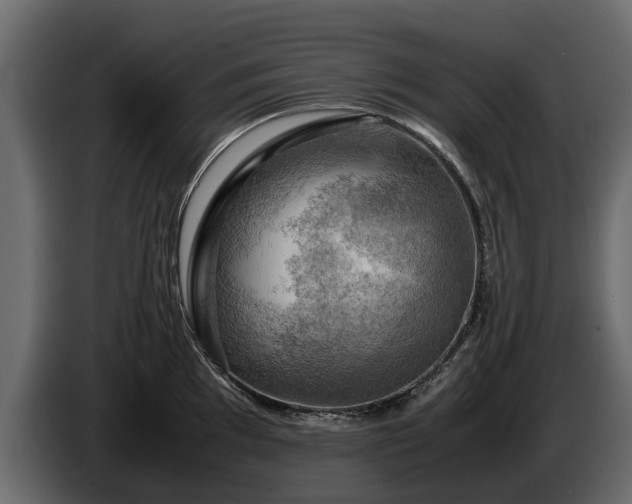 X0000085741097200703231105