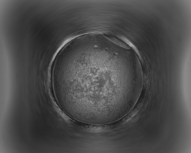X0000085741099200703231105