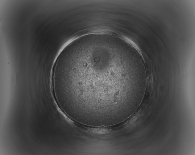 X0000085741103200703231104