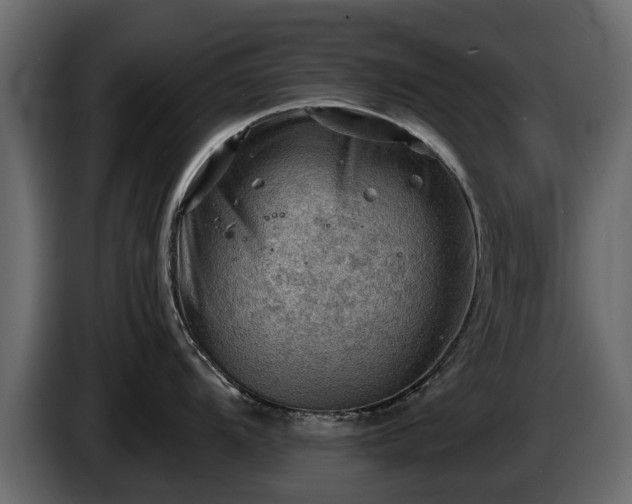 X0000085741104200703231104