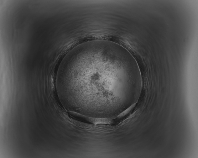 X0000085741106200703231104