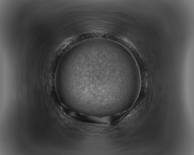 X0000085741110200703231104