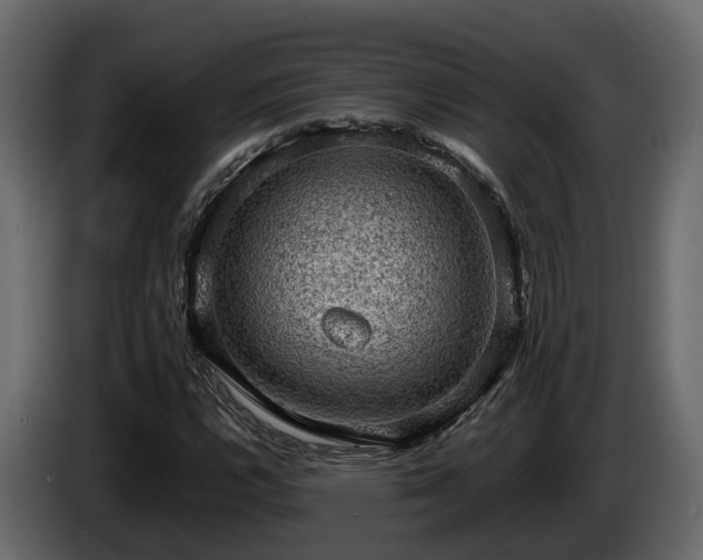 X0000085741112200703231104