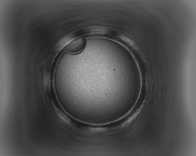 X0000085741113200703231104