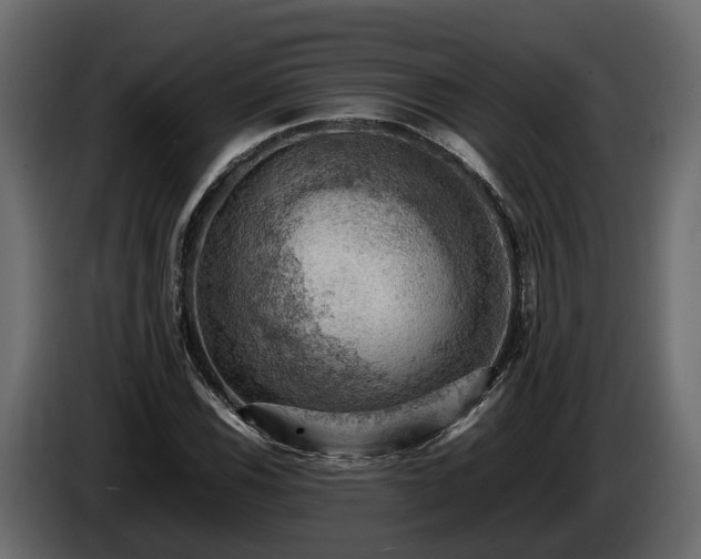X0000085741116200703231104