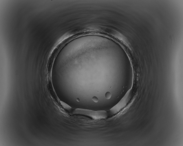 X0000085741117200703231104