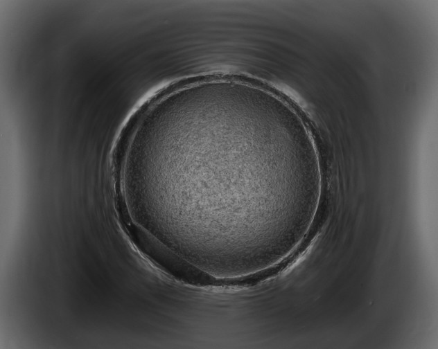 X0000085741118200703231104