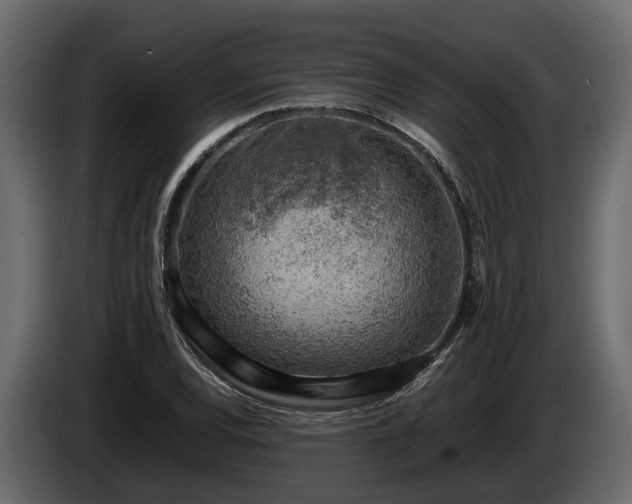 X0000085741120200703231104