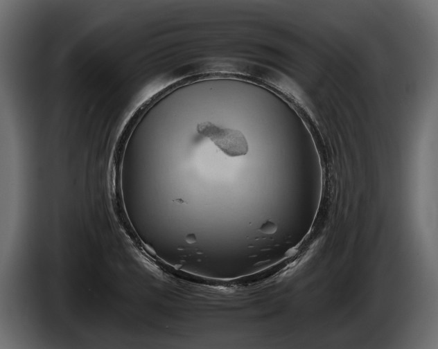 X0000085741125200703231104