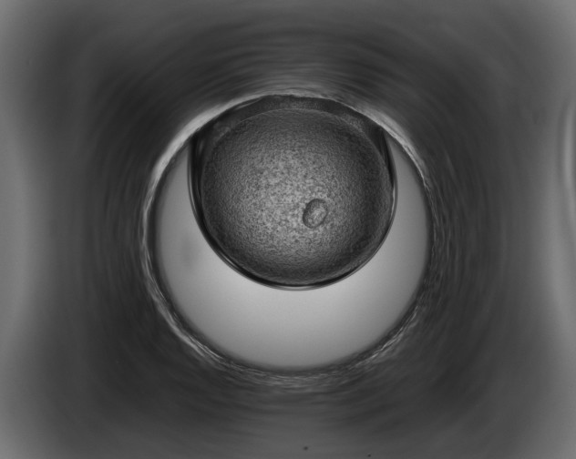 X0000085741128200703231104