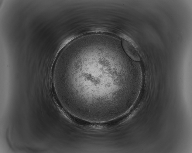 X0000085741129200703231104