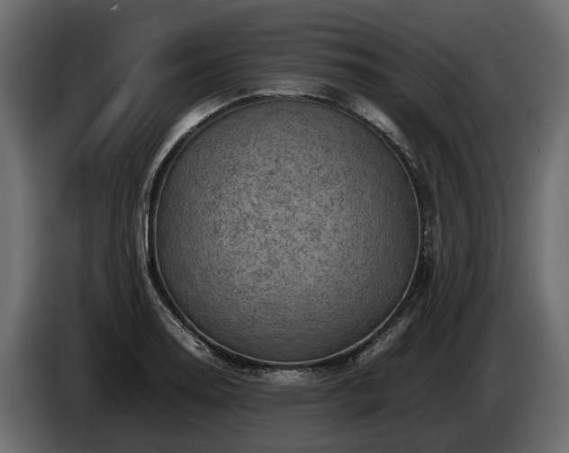 X0000085741130200703231104