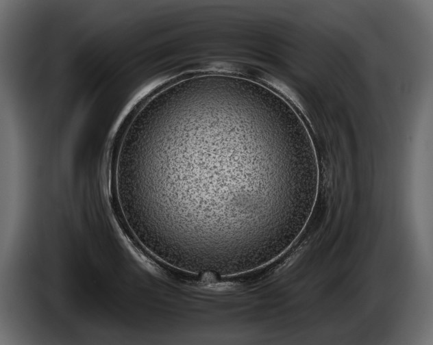 X0000085741131200703231104