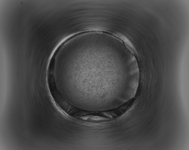 X0000085741132200703231104