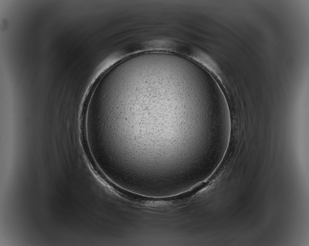 X0000085741135200703231104