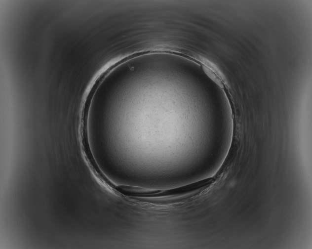 X0000085741136200703231104