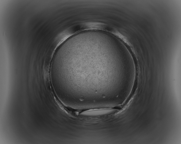 X0000085741137200703231104