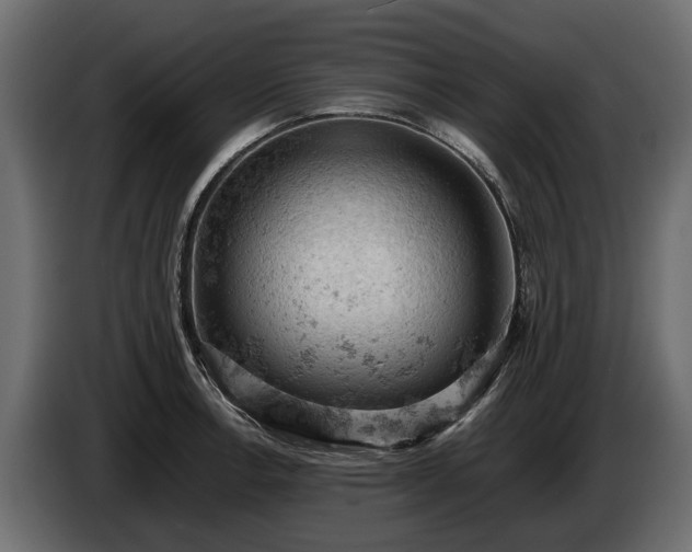 X0000085741138200703231104
