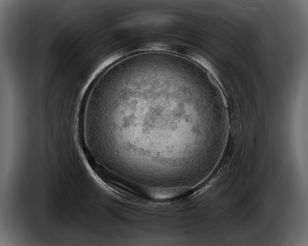X0000085741139200703231104