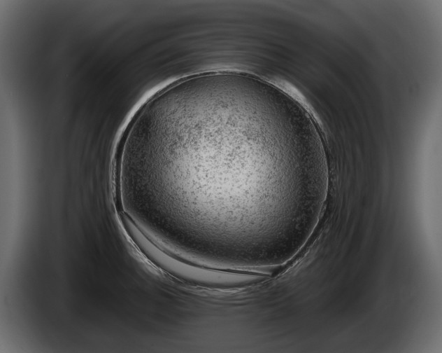 X0000085741140200703231104
