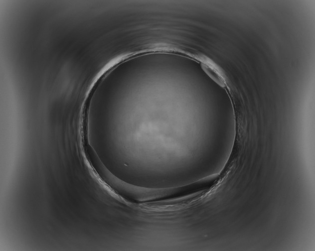 X0000085741142200703231104