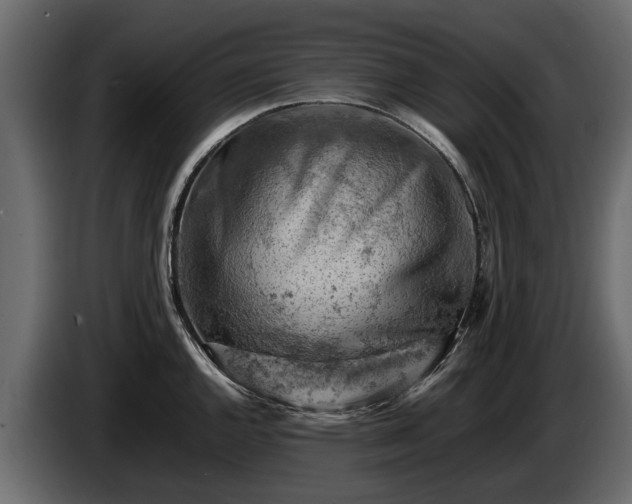 X0000085741144200703231104