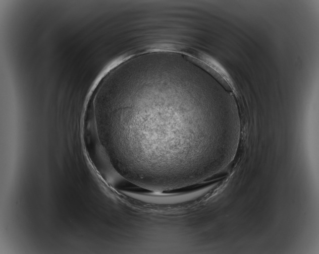 X0000085741146200703231104
