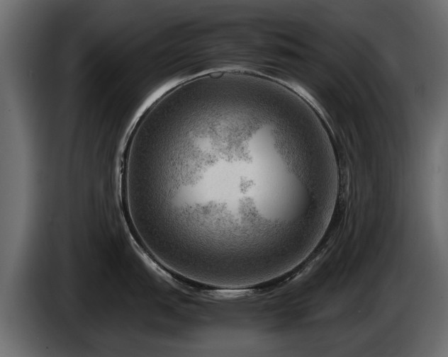 X0000085741151200703231104