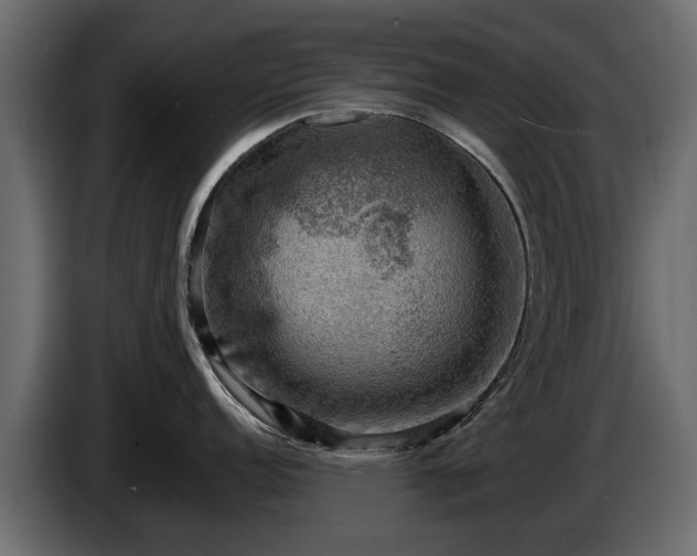 X0000085741152200703231104