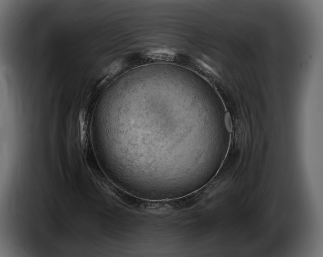 X0000085741154200703231104