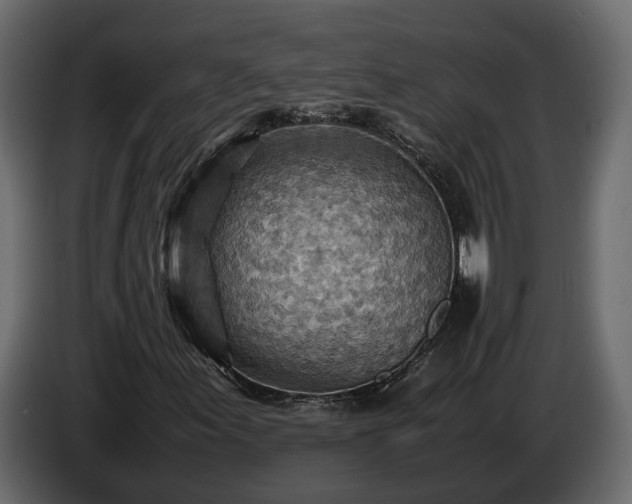 X0000085741155200703231104